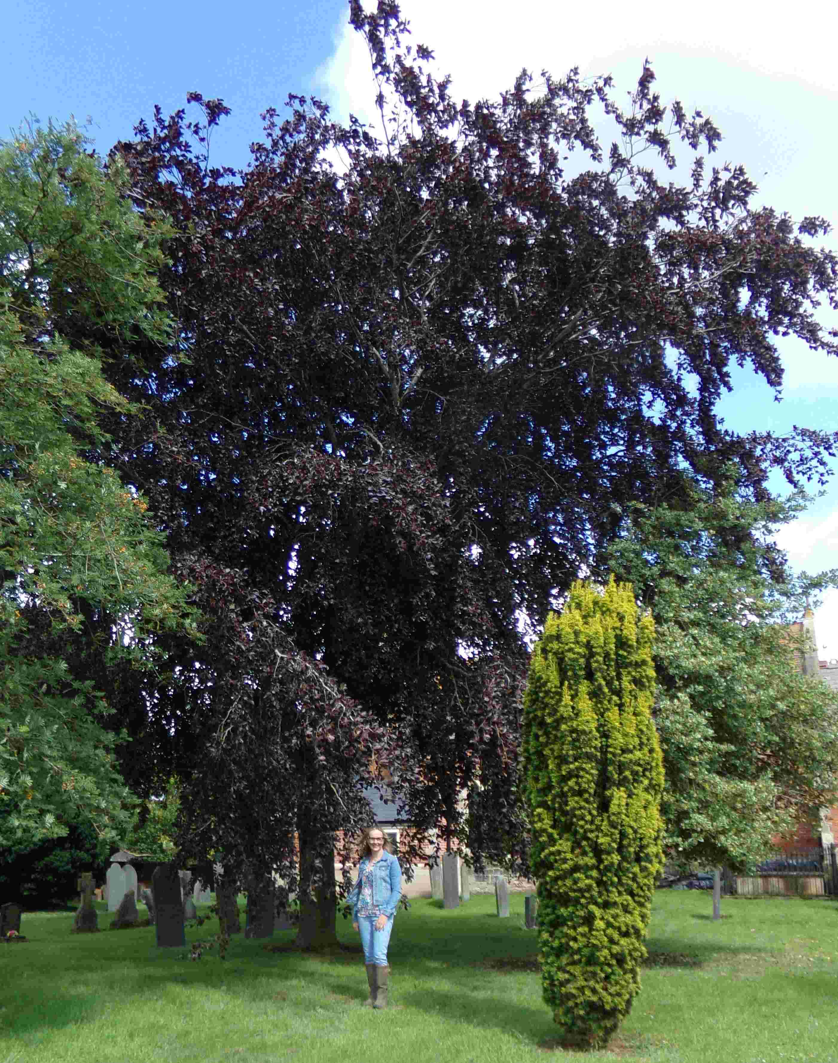 Claire standing in front of the copper beech tree